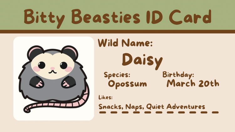 Daisy the Opossum